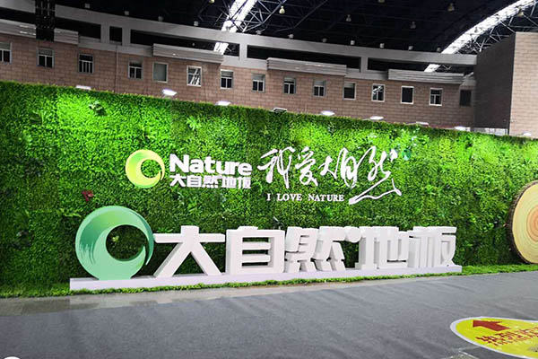 案例展示